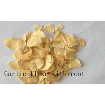Garlic Flake Withroot Top Qualtiy Air Dehydrated